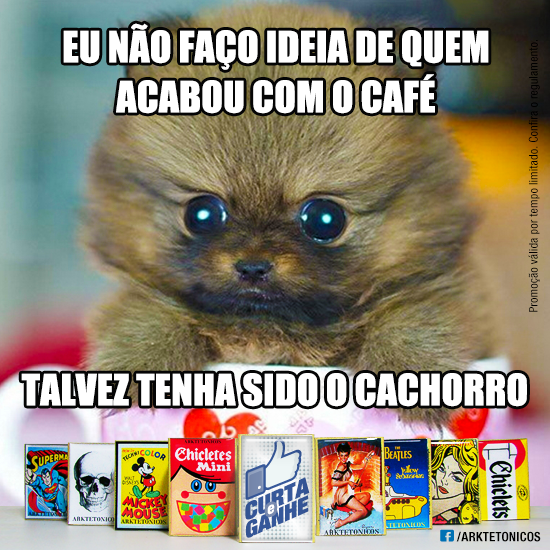 Posts_MatchBox_Gatinho