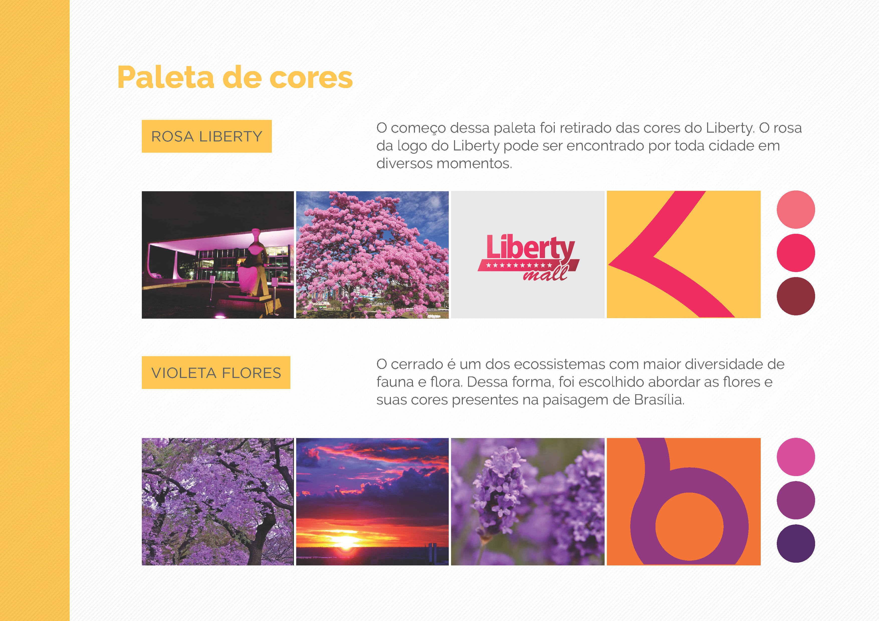 APRESENTACAO-Liberty-2009-_Page_05